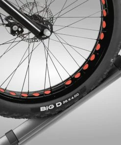 BuzzRack E-Bike-Ramp - Rampe D'accès -Pas Cher Sacs Magasin e Ramp FEATURE 62000x1000 1